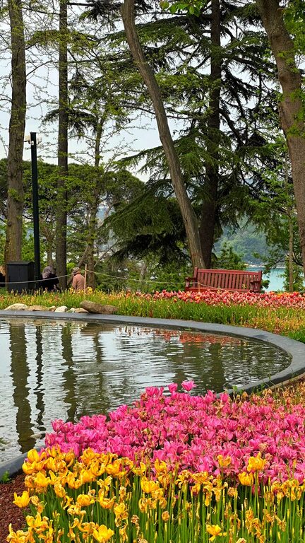 Creating a Relaxing Home Garden Space for All Seasons